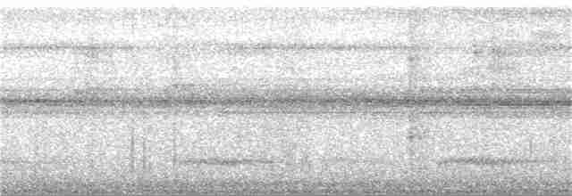 arassari žlutouchý - ML260169571