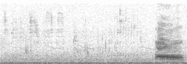 Snowy Egret - ML260185631
