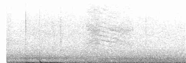 drozdec černohlavý - ML260235611