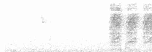 svartnakkemonark - ML260256881