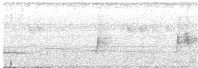 Черношапочный шелкопёр - ML260281161