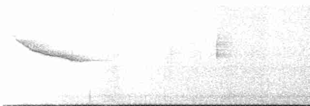 Трупіал-чернець чагарниковий - ML260369681