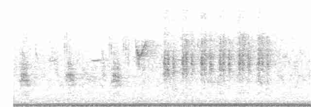 Oriental Reed Warbler - ML260432311