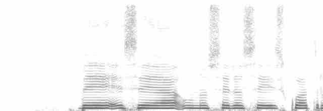 Колібрі-довгохвіст смарагдовий - ML260444
