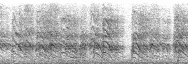 Кратеропа рябогруда - ML26052
