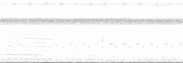 Gallineta Americana - ML260613021