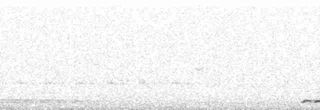 Сплюшка білогорла - ML260678