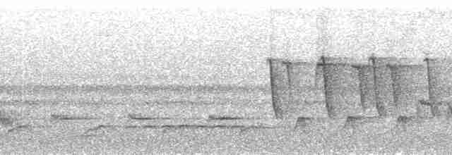 Troglodyte de Sharpe - ML260681