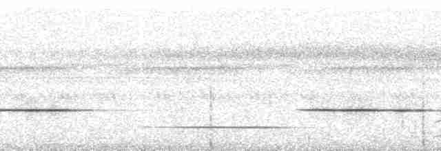 Каштановогрудый крапивник - ML260693