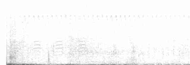 "Шишкар ялиновий (Appalachian, або тип 1)" - ML260694381