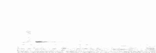 Small-billed Tinamou - ML260749161