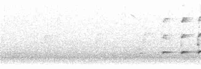 Орел-карлик малий - ML260806221