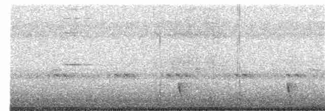 Indian Nightjar - ML260834801