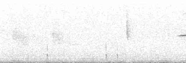 Колібрі-іскринка білочеревий - ML260853
