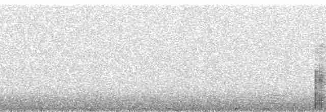 Курочка плямистобока - ML260922
