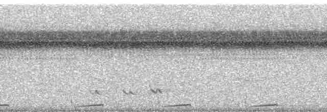 Карликовая земляная горлица - ML260943