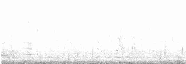 Black-tailed Godwit (islandica) - ML260978691