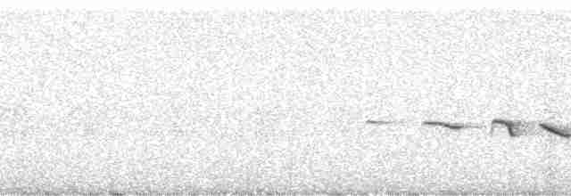 Schwarzring-Brillenvogel - ML261