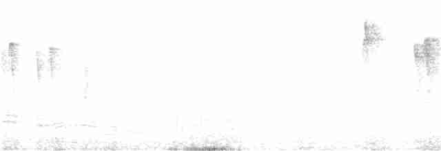 Weißscheitel-Kleintyrann (subcristata/straminea) - ML261170861