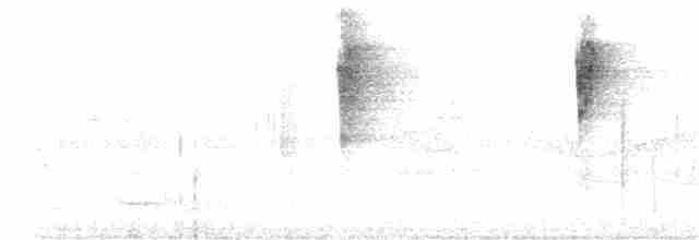 Пересмішник сірий - ML261239071