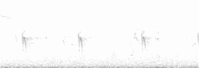 "Шишкар ялиновий (Western Hemlock, або тип 3)" - ML261259981