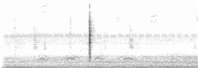 Marsh Wren (palustris Group) - ML261276181