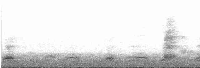 Black-crowned Night Heron - ML261326971