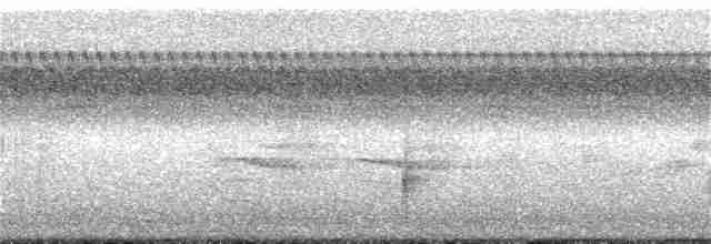 vlhovec červenokřídlý - ML261406211