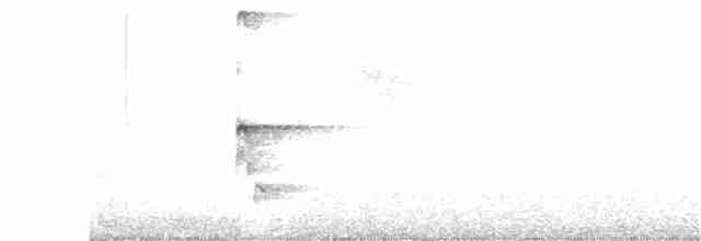 Морщинистоклювая ани - ML261436191