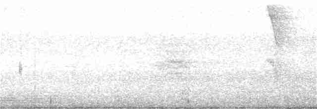 Белокурый дятел-гренадер - ML261468491