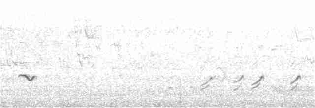 ウスズミモリツバメ - ML261525091