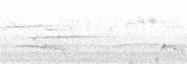 ウスズミモリツバメ - ML261525111