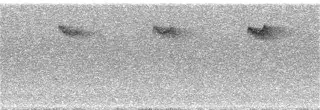 Azure Kingfisher - ML261544091