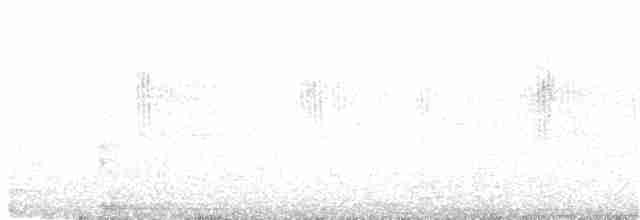 インドチャイロツバメ - ML261550161