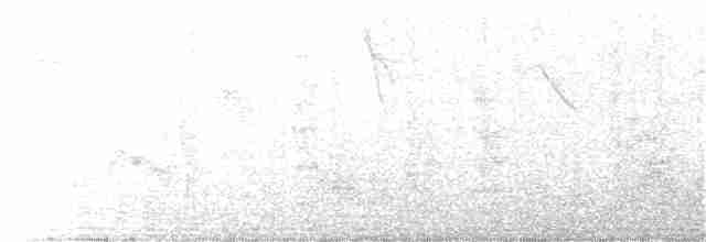 Spot-backed Puffbird (Spot-backed) - ML261566901