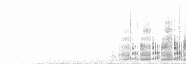 Побережник берингійський (підвид tschuktschorum) - ML261590171