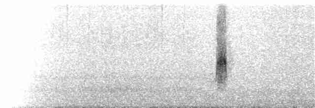 Берингийский песочник - ML261595561