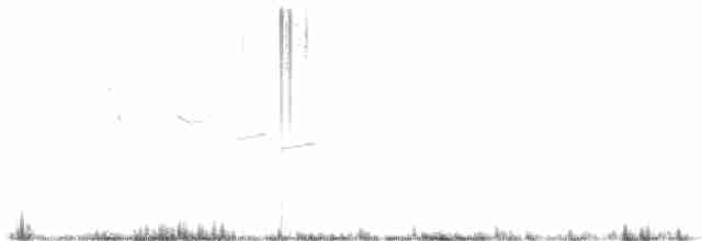Scrub Warbler - ML261601411