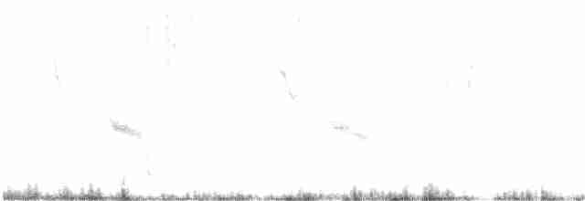 Arabian Babbler - ML261601681