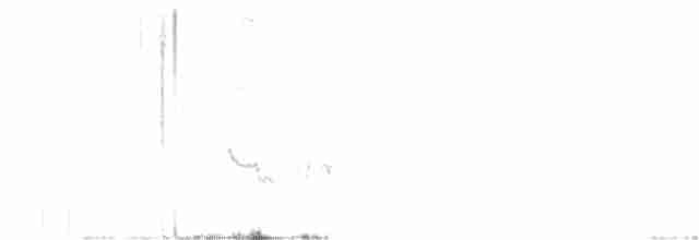 skalníček černoocasý - ML261601711