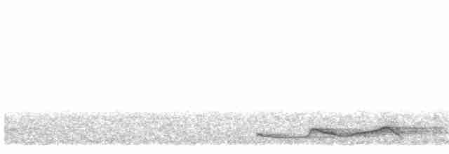 Silky-tailed Nightjar - ML261618851