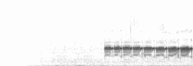 Kara Karınlı Kumkuşu - ML261639301