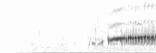 Kara Karınlı Kumkuşu - ML261639711