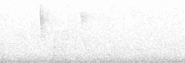 Lance-tailed Manakin - ML261676