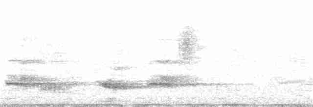 Little Tinamou - ML261752021