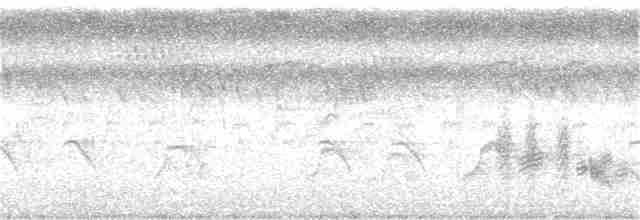 Чернокрылый личинкоед-свистун - ML261805891