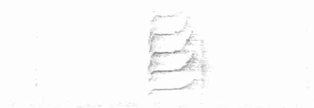 Kulaklı Ketzal - ML261824381