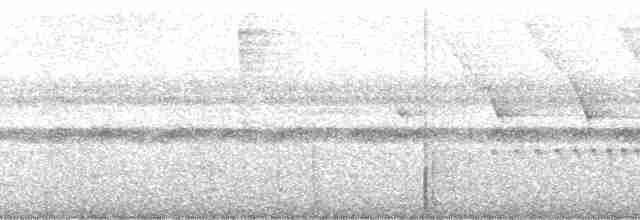 Виреоновый батарито - ML261854
