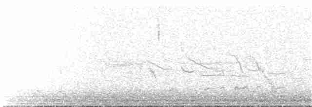 Трясохвіст смугастокрилий - ML261895341
