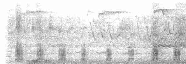 Common Merganser (North American) - ML261917021